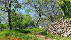 برگزاری اردوی گلگشت به مناسبت هفته تربیت بدنی (ویژه دختران)
